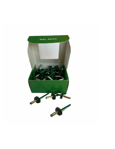 Set x 50 bucati Nituri cap lat vopsite electrostatic cu garnitura EPDM RAL 6024 Traffic Green 4.8x20x16mm (aplicatie fibrociment